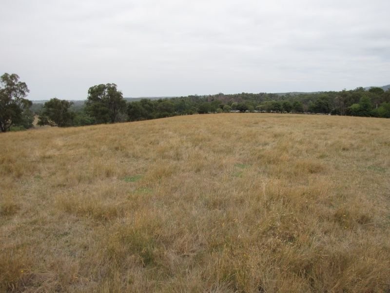 Lot 1 Thalloo Road, Tanjil South VIC 3825