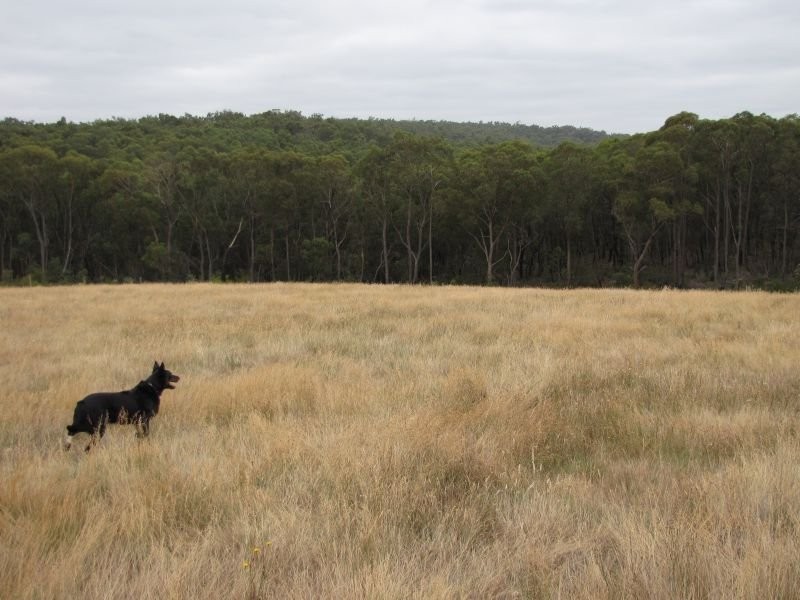 Lot 1 Thalloo Road, Tanjil South VIC 3825