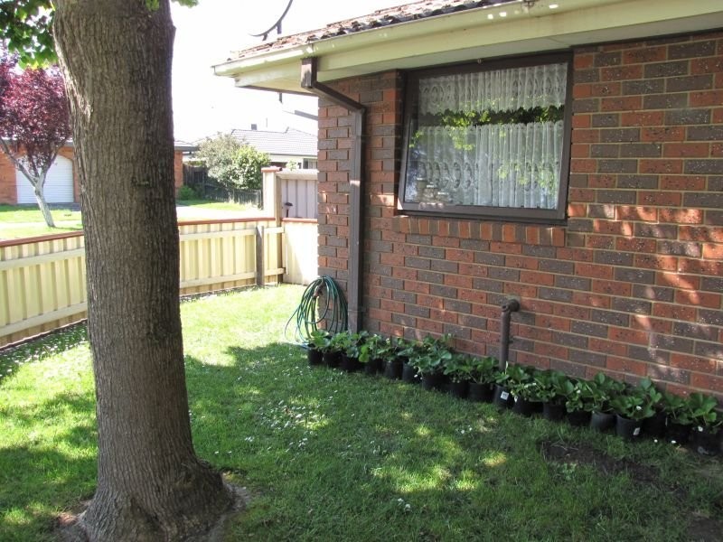 2/2 Hunter Street, Moe VIC 3825