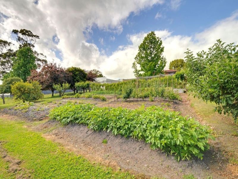 66 North Road, Yallourn North VIC 3825