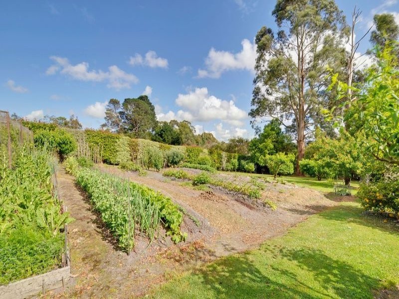 66 North Road, Yallourn North VIC 3825