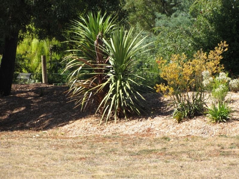 54 Whitelaw Court, Rawson VIC 3825