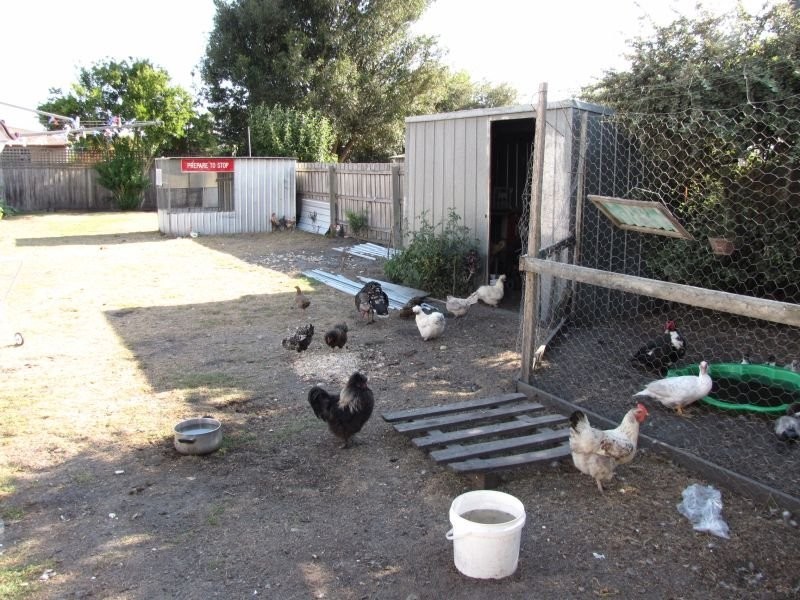 13 Victoria Street, Moe VIC 3825