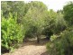 20 Elswyk Road, Moe South VIC 3825