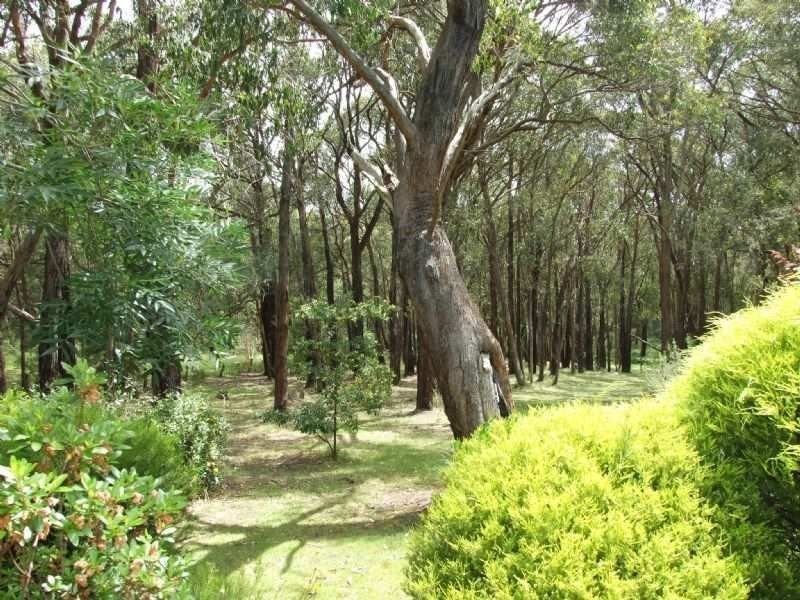 72 Haunted Hills Road, Newborough VIC 3825
