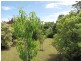 19 William Street, Newborough VIC 3825