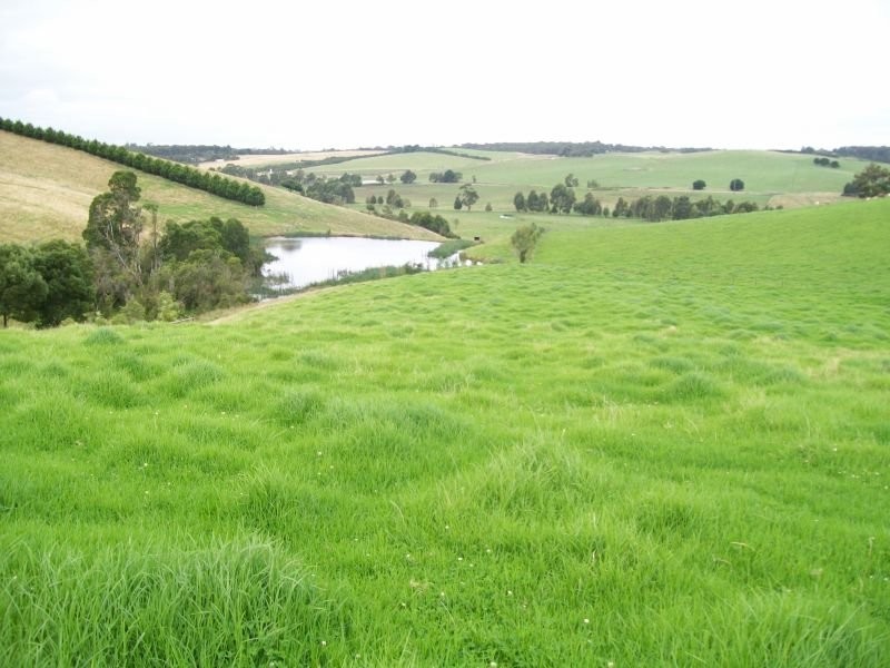 293 Coalville Road, Moe South VIC 3825