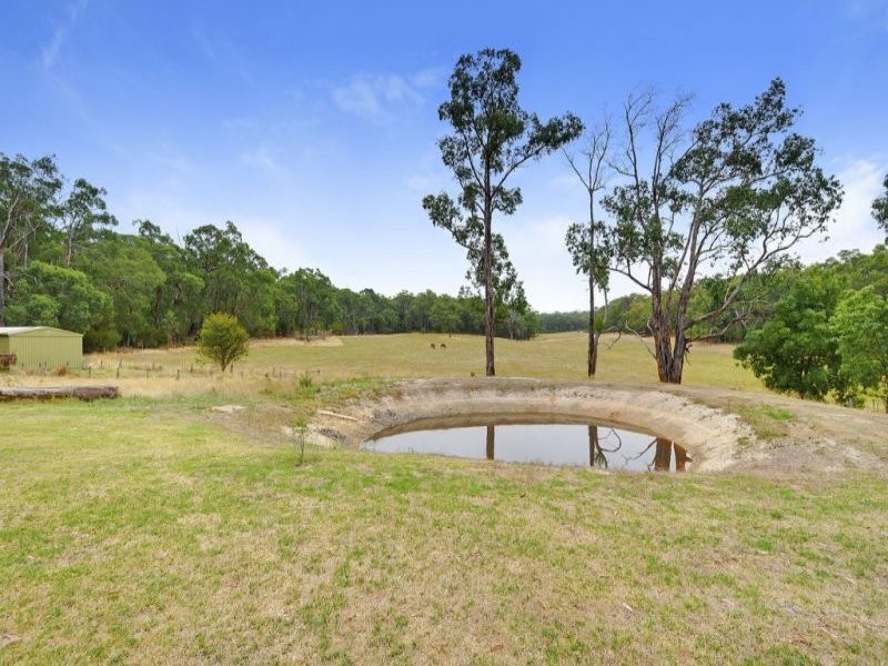 727 Moe Walhalla Road, Tanjil South VIC 3825