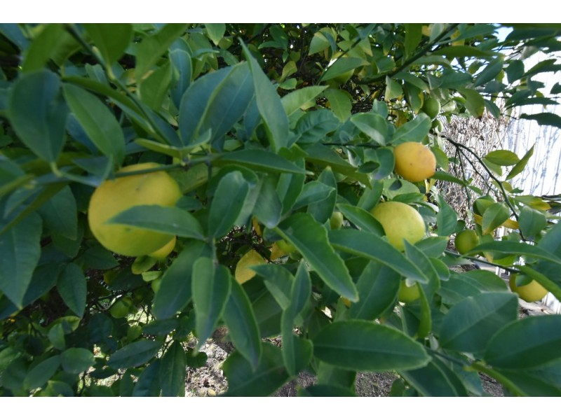 14 Mirboo Street, Newborough VIC 3825