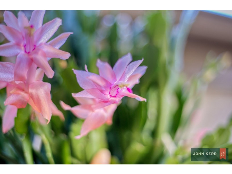 1/23 Central Avenue, Newborough VIC 3825