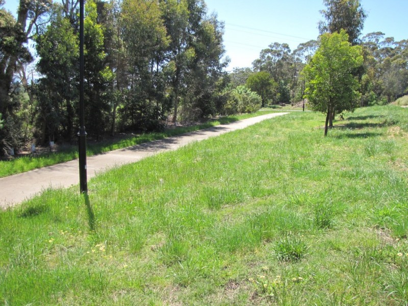 6 Arapiles Drive, Moe VIC 3825