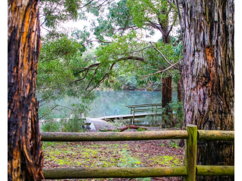 1/1 Libra Crescent, Moe VIC 3825