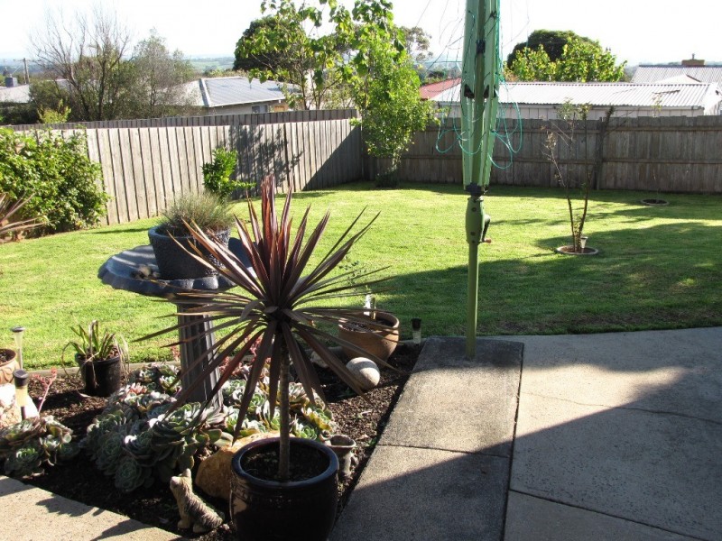 10 Windsor Avenue, Moe VIC 3825