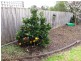 28 John Street, Moe VIC 3825