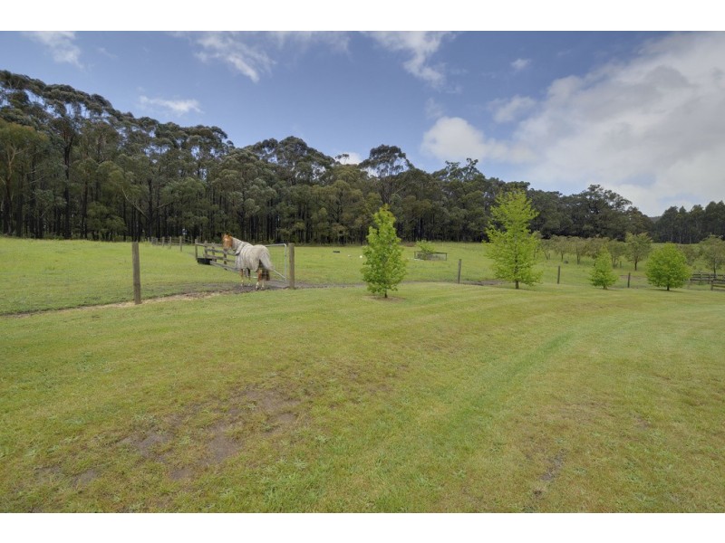 81 Pineridge Road, Moe VIC 3825