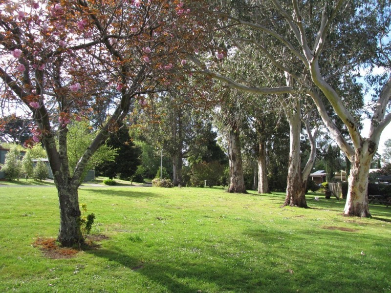 3 Blocks of land, Rawson VIC 3825