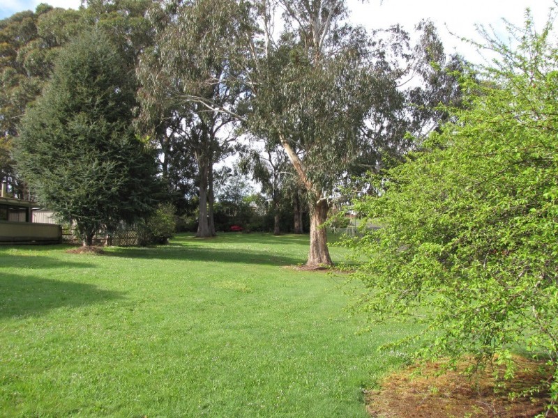 3 Blocks of land, Rawson VIC 3825
