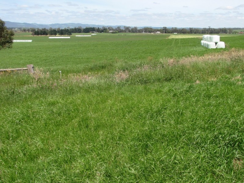 140 Golden Gully Road, Driffield VIC 3840