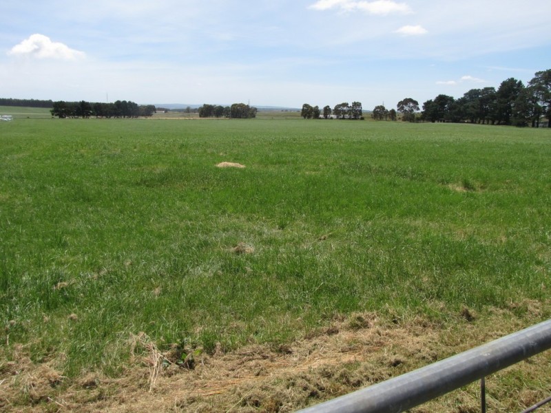 140 Golden Gully Road, Driffield VIC 3840
