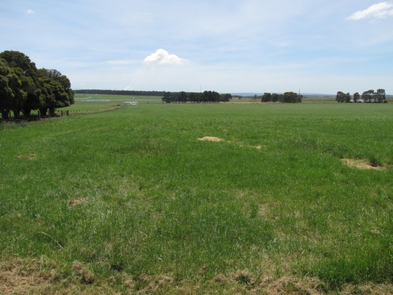 140 Golden Gully Road, Driffield VIC 3840