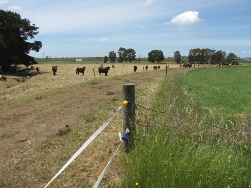 140 Golden Gully Road, Driffield VIC 3840