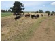 140 Golden Gully Road, Driffield VIC 3840