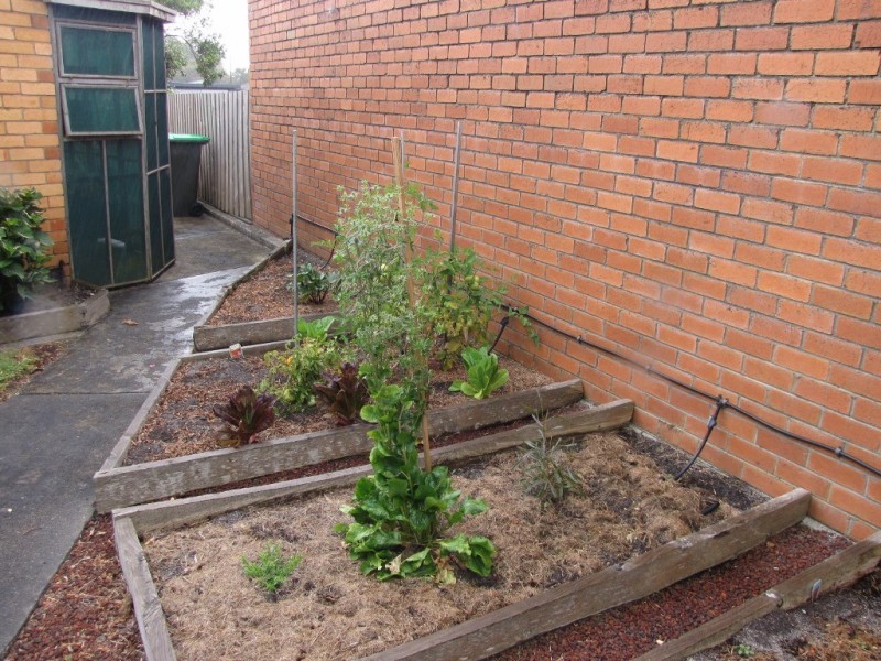 63 Northern Avenue, Newborough VIC 3825