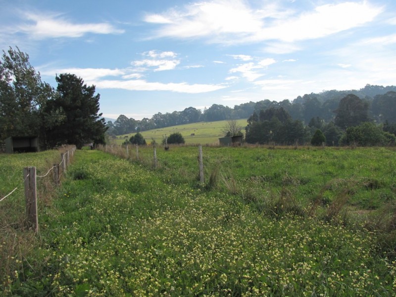 72 Thomson Valley Road, Erica VIC 3825