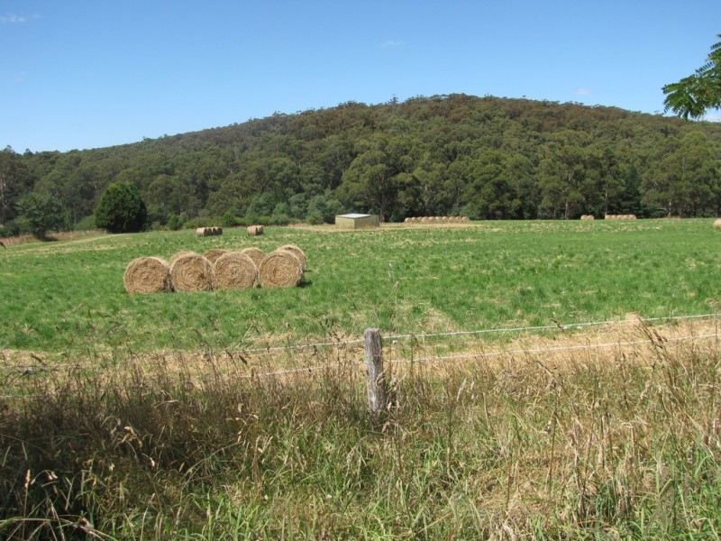 72 Thomson Valley Road, Erica VIC 3825