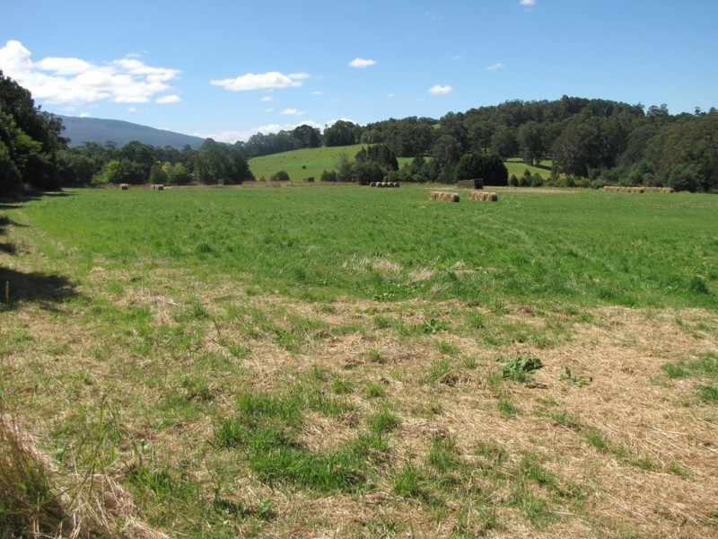 72 Thomson Valley Road, Erica VIC 3825