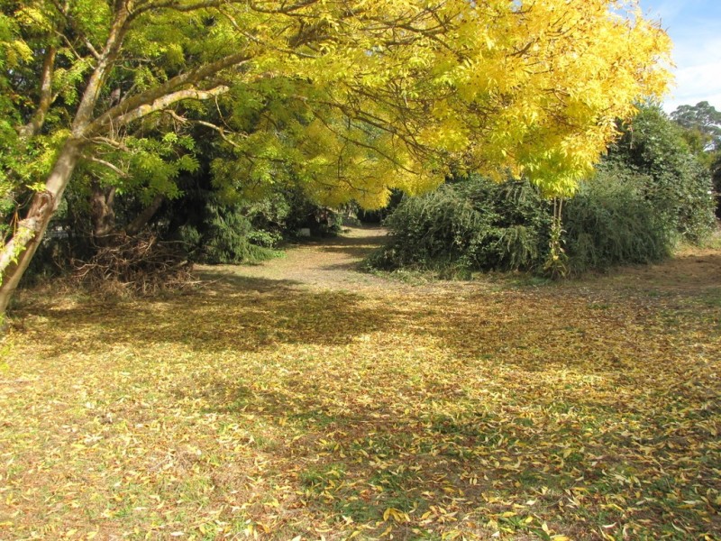 72 Thomson Valley Road, Erica VIC 3825