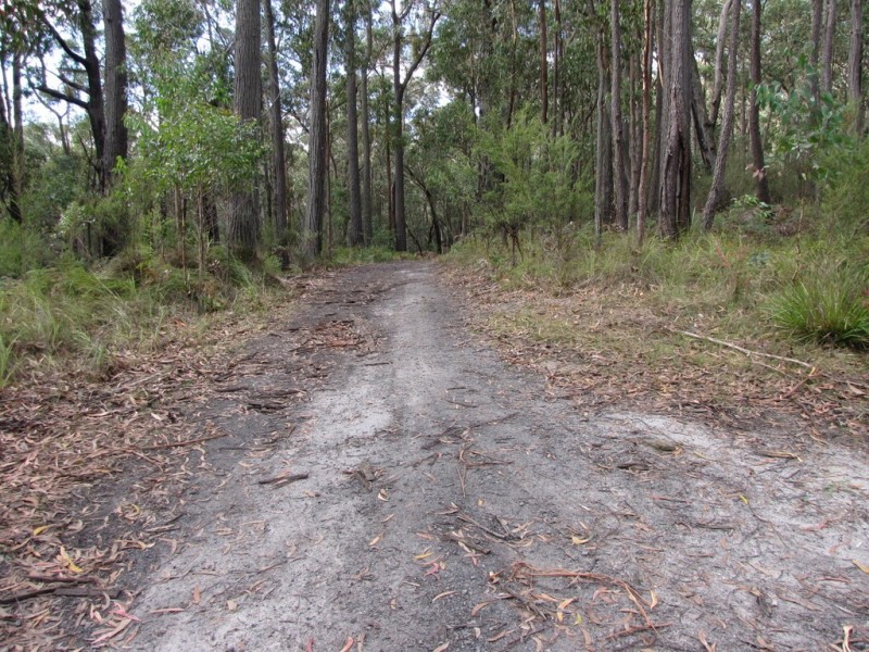 . Moe Rawson Road, Caringal VIC 3825