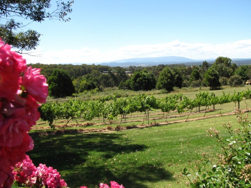 26 Moe South Road, Moe South VIC 3825