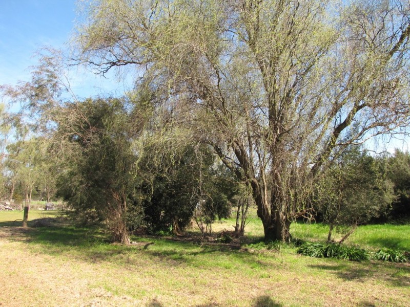 83 Haigh Street, Newborough VIC 3825