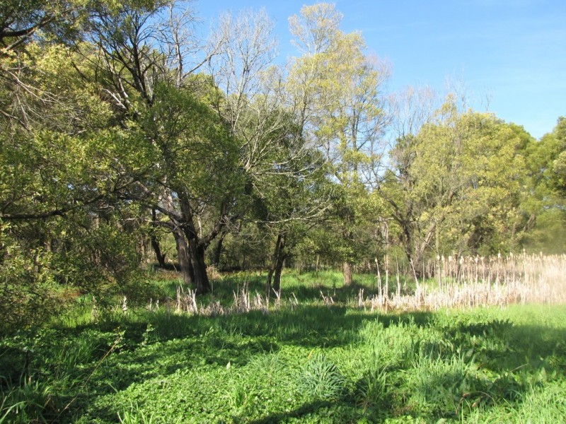 83 Haigh Street, Newborough VIC 3825