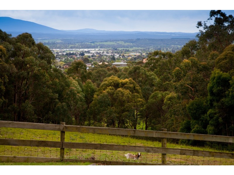 47 Tambo Road, Moe South VIC 3825