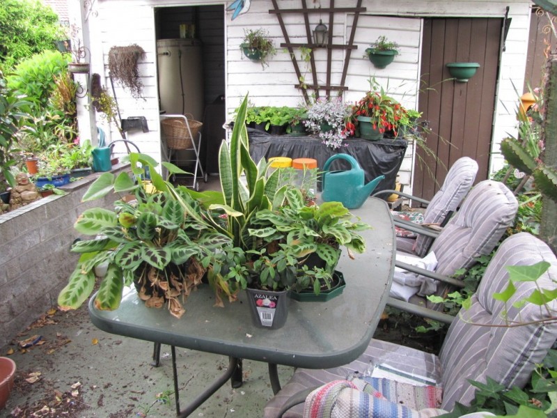 8 Kingsford Street, Moe VIC 3825