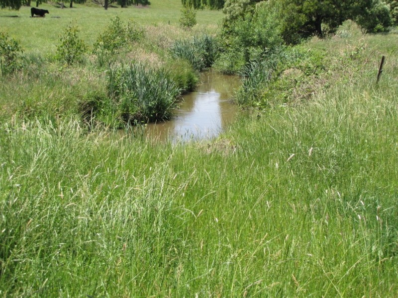 80 Old Sale Road, Newborough VIC 3825