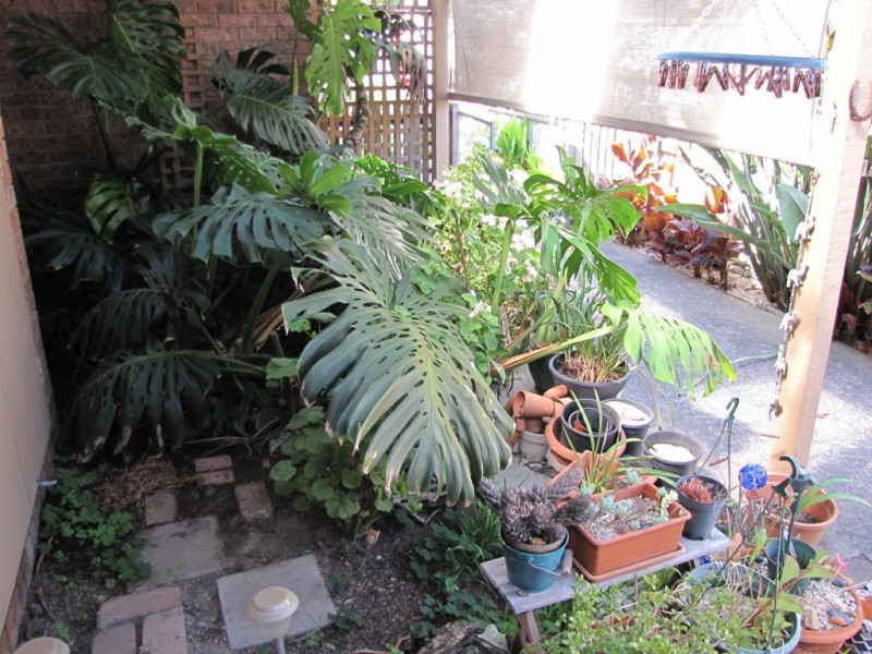 6/15 Burrage Court, Moe VIC 3825