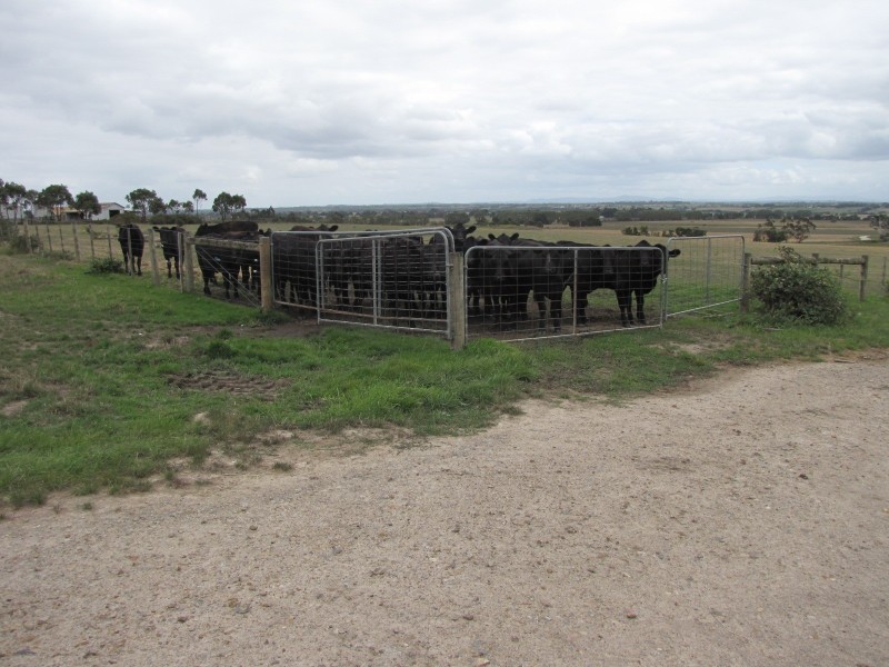 480 Waterloo Road, Trafalgar East VIC 3824