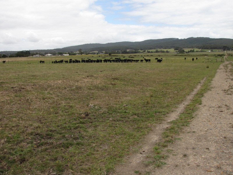 480 Waterloo Road, Trafalgar East VIC 3824