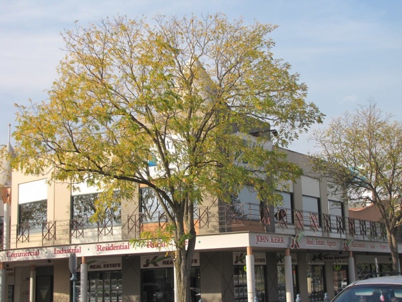 Unit 6,1F Moore Street, Moe VIC 3825