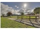 14 Smallburn Avenue, Newborough VIC 3825