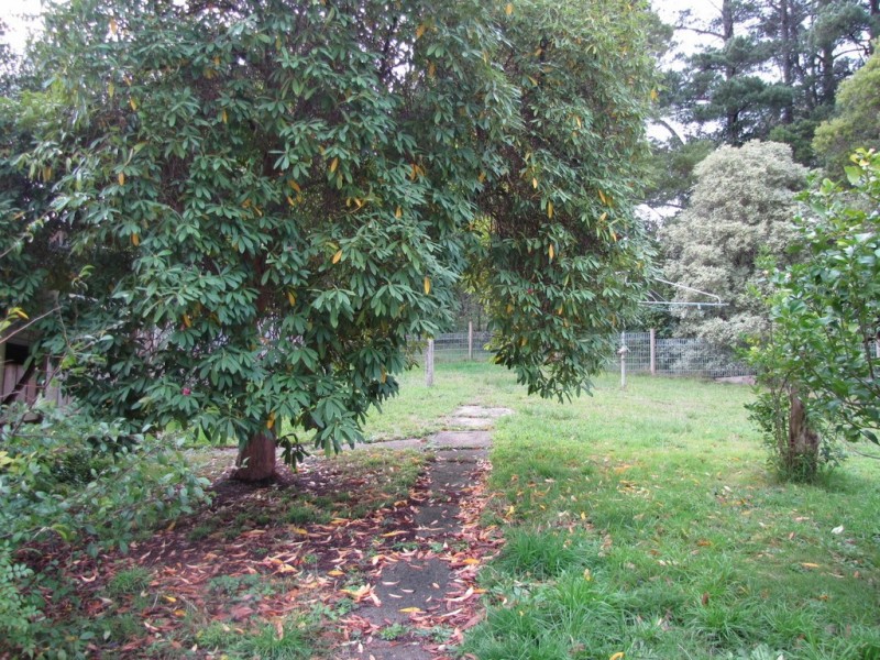 27 Coalville Road, Moe VIC 3825