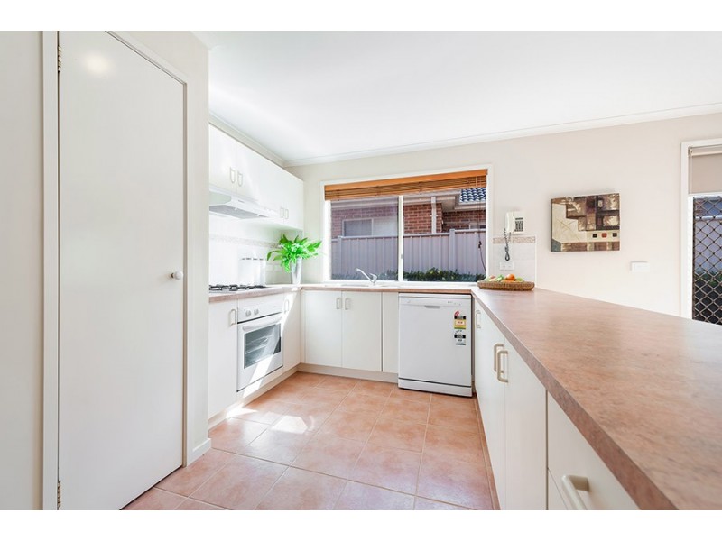 17 Castlebury Place, Craigieburn VIC 3064