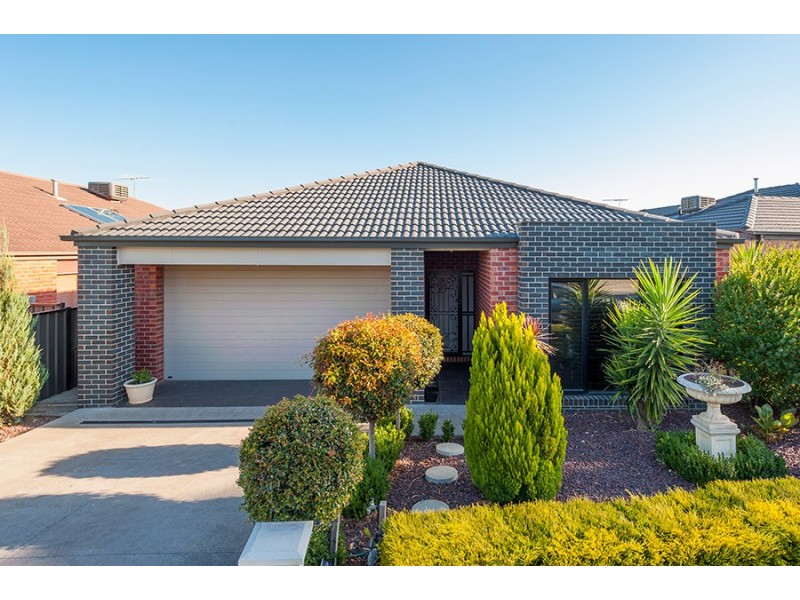 11 Black Range Avenue, Craigieburn VIC 3064