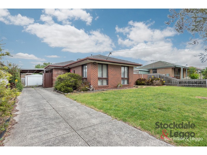 19 Medway Road, Craigieburn VIC 3064