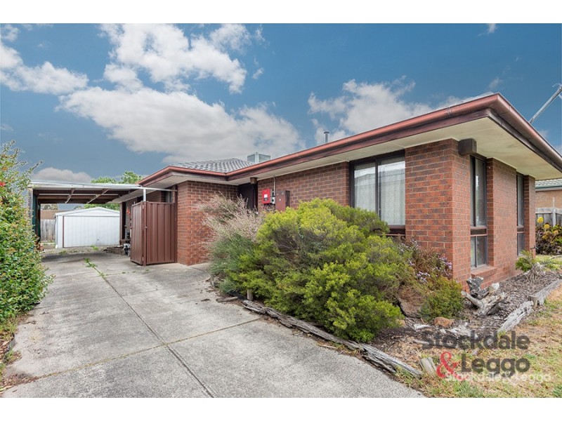 19 Medway Road, Craigieburn VIC 3064
