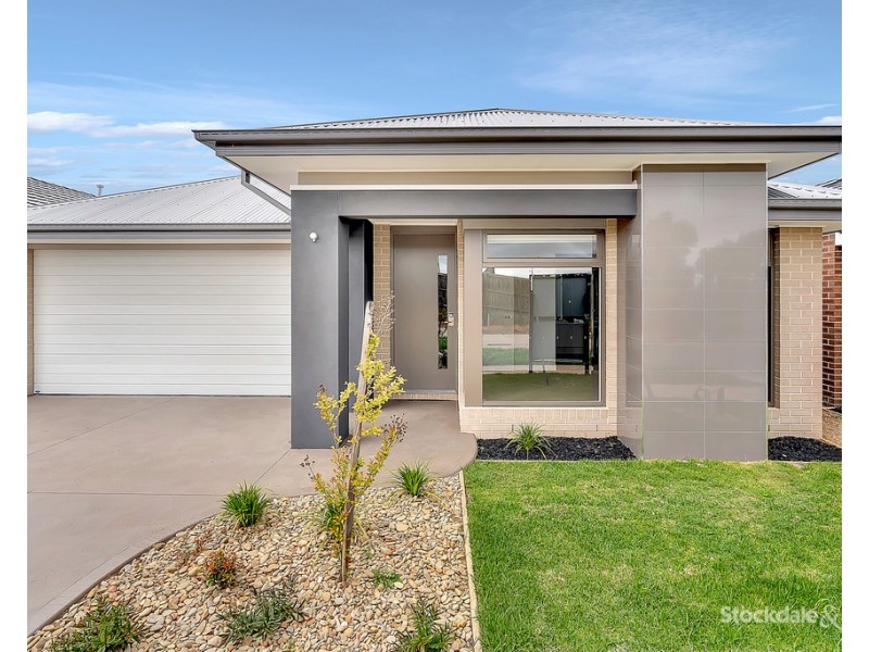 14 Scolopia Street, Craigieburn VIC 3064