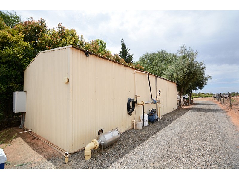 Lot 169 Euston Avenue, Irymple VIC 3498